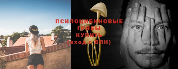 винт Дмитриев