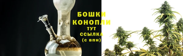 винт Дмитриев