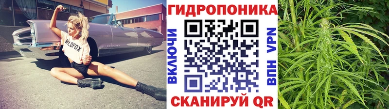 Шишки марихуана сатива  Купить где  Калач-на-Дону 